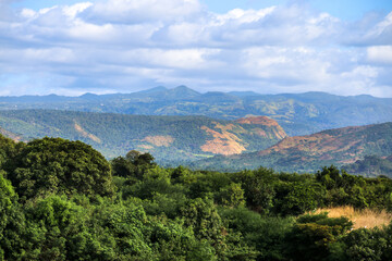 Madagascar Wildlife: Exploring the rainforest of Madagascar