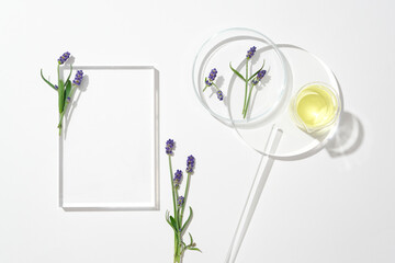 View from above of an unlabeled cosmetic tube placed next to glassware and fresh lavender flowers. Empty space for text design. Cosmetics advertisement with white background.