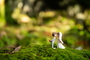 緑の苔と新郎新婦