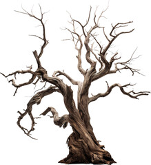 Dead dry tree isolated on transparent background