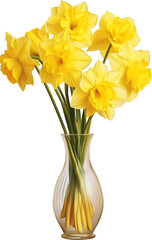 Daffodil flower isolated on transparent background