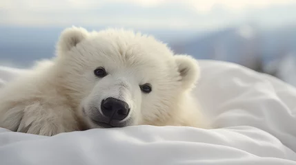 Fotobehang Close-up of a cute polar bear lying in a white bed in the morning © Natasha 