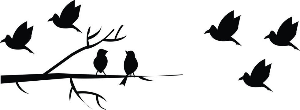 A Flock of Birds. Vector, luxury elements, Black vector flying birds flock silhouettes isolated on transparent background, used for mobile, app, logo, or ui
