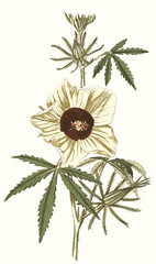 vintage flowers art flower rose leaf 