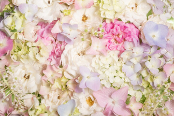 Delicate blooming hydrangea flowers and pink roses. Blooming pastel flowers, festive floral background.