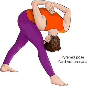 Young woman doing yoga Parshvottanasana. Pyramid pose or Intense Side Stretch pose. Intermediate Difficulty. Isolated vector illustration.