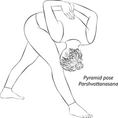 Sketch of young woman doing yoga Parshvottanasana. Pyramid pose or Intense Side Stretch pose. Isolated vector illustration.