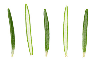 Set fresh green rosemary leaf isolated on white, top view, clipping