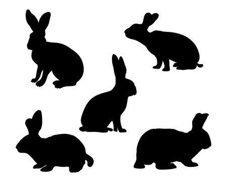 Rabbit silhouette and Hare collection - silhouettes vector illustration