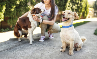 Pawsitively Empowered: Female Dog Trainer with Her Dynamic Duo