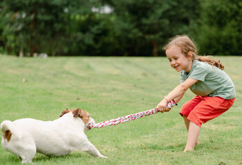 Child and dog playing tug with toy rope at backyard lawn - obrazy, fototapety, plakaty