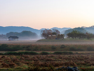 霧が漂う明日香村の田園風景