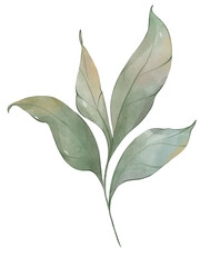 Watercolor green leaves