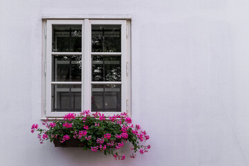 Old window with blossoming flowers on windowsill