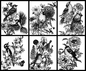 Vector set of 6 posters with birds in flowers. Blue jay, sparrow, red cardinal, bullfinch, woodpecker, waxwing, robin in engraving style	