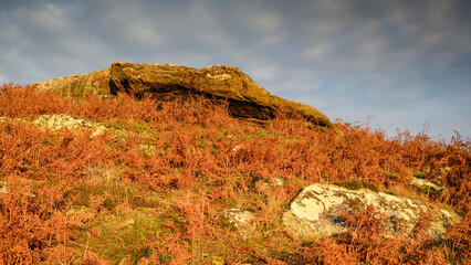Corby's Crags and the Rock Shelter, which look over the Vale of Whittingham towards the Cheviot...