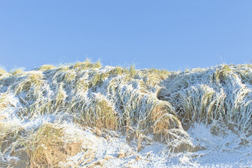 Snow lies on a dune on the beach