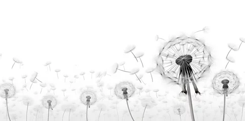 Fotobehang Black silhouette with flying dandelion buds on a white background © Oksana