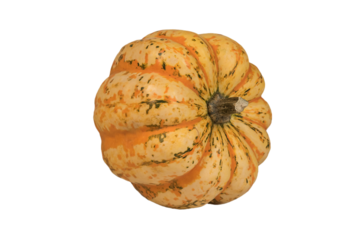 dojrzała różnokolorowa dynia bez tła.