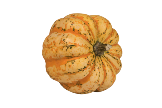 dojrzała różnokolorowa dynia bez tła.