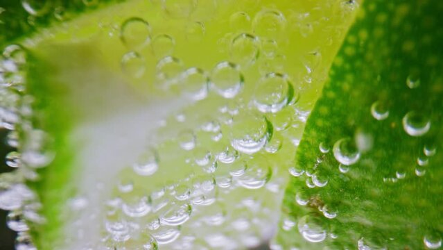 Bubbly Drink and Lime Slices in Glass Cup Close Up. Making Sour Alcoholic Cocktail of Vodka or White Rum at Home on Studio Shot in Macro. Drinking Sparkling Water as Detox Fluid or Pure Mineral Aqua