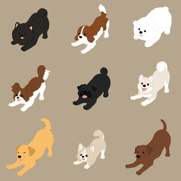 Simple and cute flat colored illustration of dogs being playful