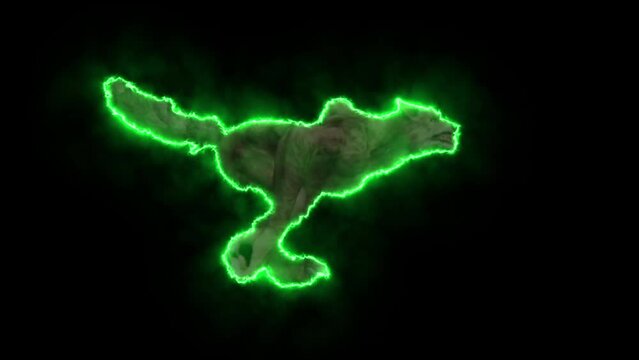 Running wolf on fire. Running fiery werewolf. Mystical fire. Animated attacking terrible dog.