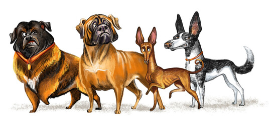 Cute character funny cartoon dogs looking on the right, isolated illustration