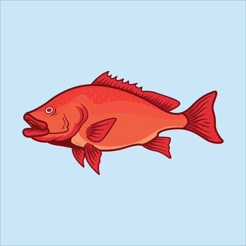 Red snapper fish mascot character cartoon vector illustration