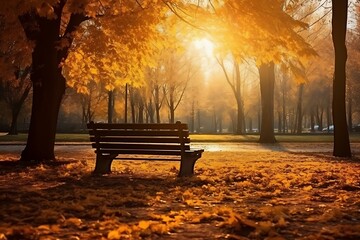 Bench in the park at sunrise. Autumn landscape with sunbeams