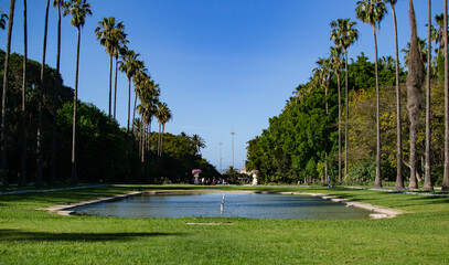 jardin d'essai du Hamma, situé dans le quartier du Belouizdad à Alger, est un jardin luxuriant,...