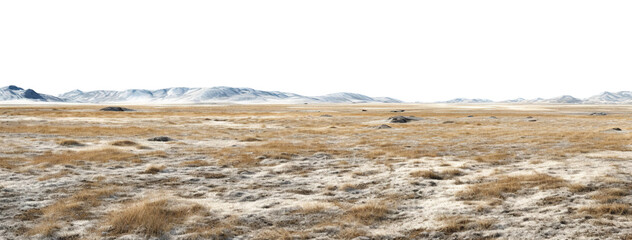 Vast treeless plain in colder climate, cut out