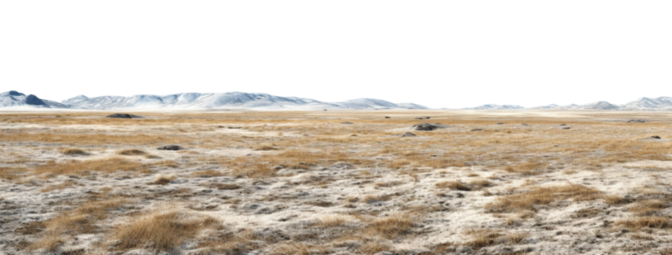 Vast treeless plain in colder climate, cut out