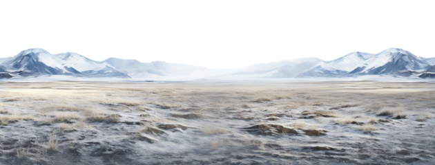 Vast treeless plain in colder climate, cut out
