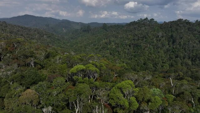 Mantadia Bilder Durchsuchen 682 Archivfotos, und