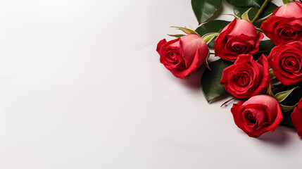 Elegant Red Roses on a Pristine White Background