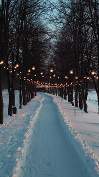 illuminated alley in snowy winter park, snow in forest and road with festive decorated light bulbs, vertical 4k video