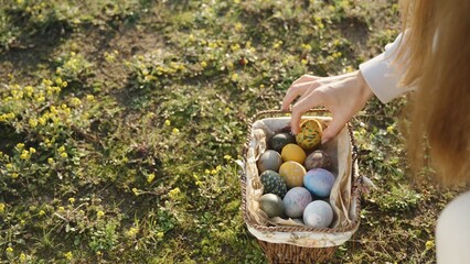 A painted Easter egg lies in a clearing among yellow flowers. The young woman picks it up and puts it in a basket with other eggs. close-up