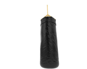 Punching bag isolated on transparent background. 3d rendering - illustration