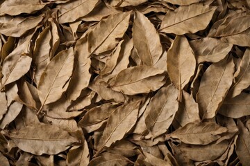 pile dry laurel leaves