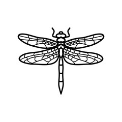 dragonfly icon