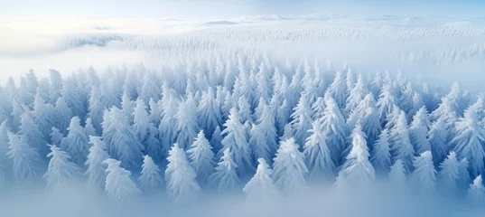 Selbstklebende Fototapeten Aerial view of snow covered pine trees in the enchanting winter forest of norway, captured by drone © Ilja