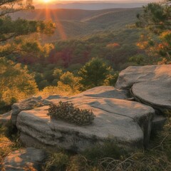 landscape in the mountain