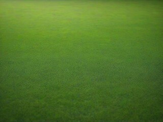 green grass background