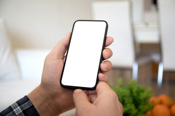 male hands hold phone with isolated screen background summer cafe