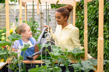 African woman and girl is watering vegetable and herb in garden