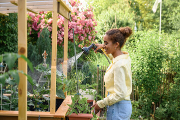 young woman watering vegetable in garden