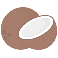 Coconut fruit 