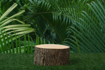 Wood podium tabletop floor in outdoors tropical garden forest blurred green leaf plant nature background.Natural product placement pedestal stand display,jungle paradise concept.
