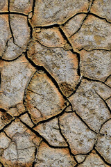dry, cracked ground - drought, thirst, desertification - Aliki salt lake, Lemnos island, Greece, Aegean Sea